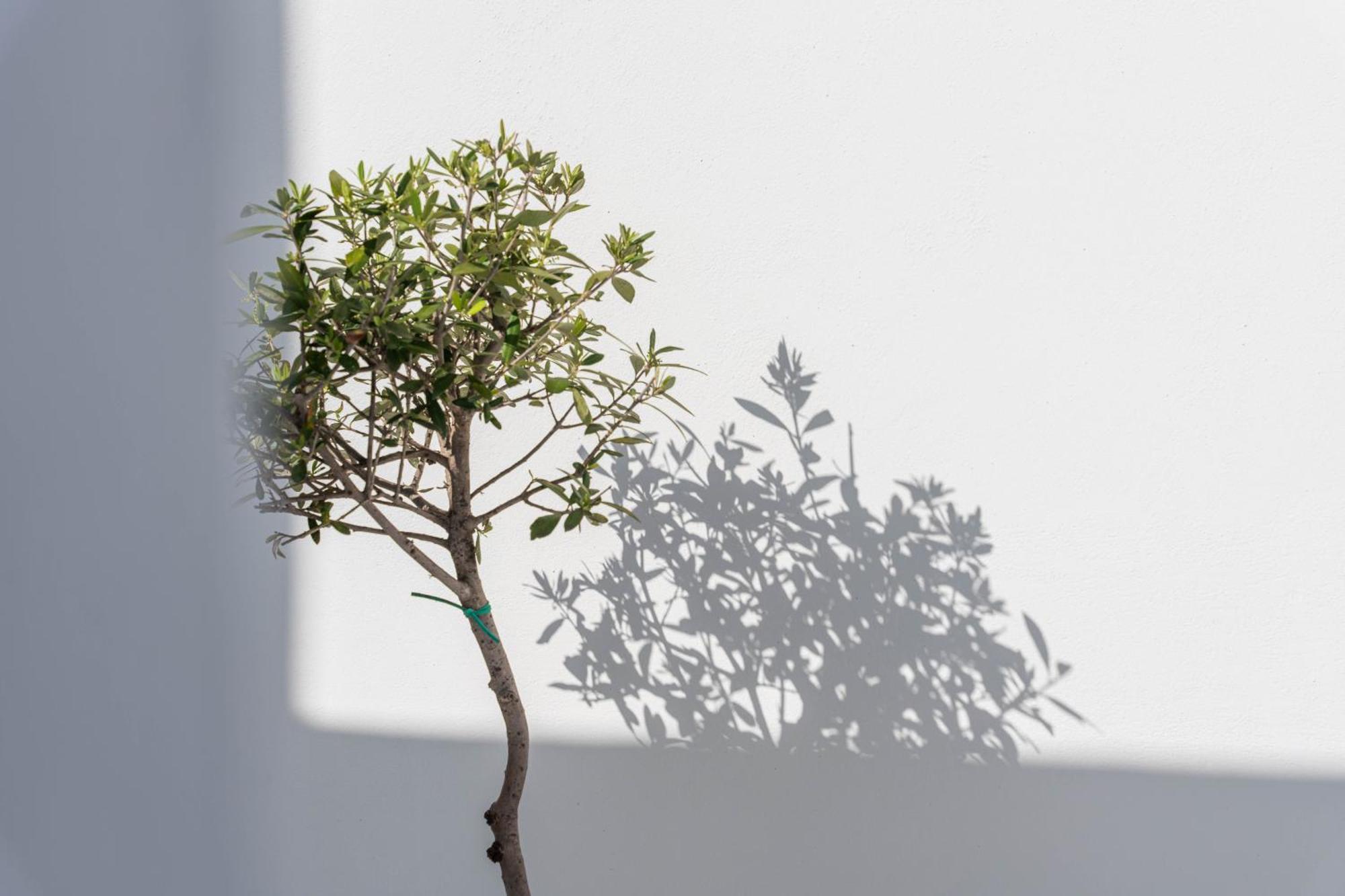 Cycladic Suites & Spa Fira  Exteriér fotografie